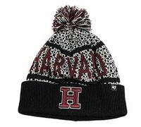 Cappello invernale di marca '47 (Harvard GreyBlack/Maroon)