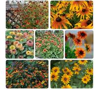 cappello per il sole del balcone in semi selvatici perenni estremamente resistenti resistenti scalapante decorazione salotto 200pcs