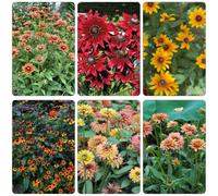 cappello per il sole di balcone primavera scalapante semi di prato selvatico semi interni selvatici perenni resistenti reali in 200pcs