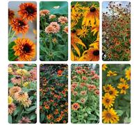 cappello per il sole tagliato da balcone primavera semi di interni estate semi prato selvatico scalapante in 200pcs