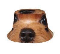 Cappello Pescatore Da Sole Grooming Brown Dog Yorkshire Terrier Long