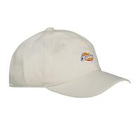 CAPPELLO Uomo DICKIES HARDWICK DNM - DK0A4YPHWHX1 WHITE