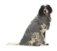 Cappotto impermeabile MONTREAL con fodera interna in pile rimovibile per cani C