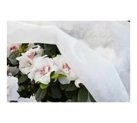 Cappuccio Tnt Bianco 17 gr/m², m 1x1,6 3 pz Bianco