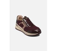 CAPRICE Damen 9-23300-44, Scarpe da Ginnastica Donna, Bordeaux Comb, 38 EU Larga