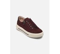 Caprice - 23351-43 Bordeaux - Sneakers 37 1/2 Bordeaux