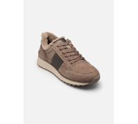 Caprice - 23706-47 Marrone - 37 Marrone