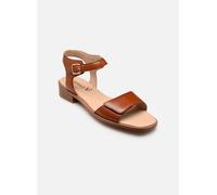 Caprice - 9-28202-44 Marrone - Sandali e scarpe aperte 38 Marrone