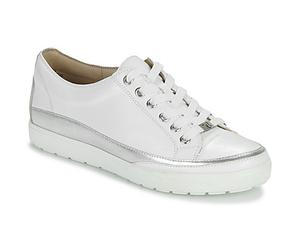 Caprice Sneakers basse BUSCETI in Bianco 38 1/2
