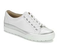 Caprice Sneakers basse BUSCETI in Bianco 40 1/2