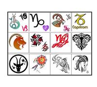 Capricorn Zodiac Horoscope Star Sign Collection (Capricorn Temporary Tattoos)
