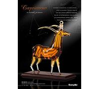 CAPRICORNO OF BONOLLO
