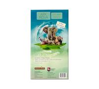 Capstone Games Ark Nova Zoo Map Pack 2 - Set di espansione accessori da gioco, amplia la tua collezione, tutte le nuove meccaniche e layout da esplorare