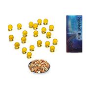 Capsule al mentolo aroma capsule e sigaretta aroma e sigaretta sigarette al mentolo punte con filtro al mentolo (600 perle e 1 pushball box per pc)