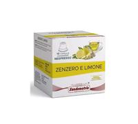 Capsule Sandemetrio Infuso Gusto Zenzero e Limone comp. Nespresso