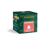 Capsule Sandemetrio Infuso Melagrana comp. Nespresso