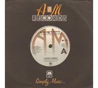 CAPTAIN & TENNILLE - the way i want to touch you 45 rpm single