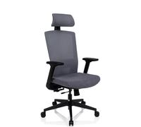CAPTIVO - Sedia da ufficio professionale Grigio