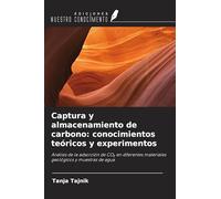 Captura y almacenamiento de carbono: conocimientos teóricos y experimentos: Análisis de la adsorción de CO¿ en diferentes materiales geológicos y muestras de agua