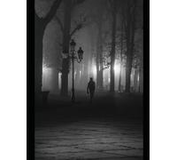 Capturez la Lumière: L’Art de Commencer la Photographie