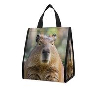Capybara - Borsa termica per il pranzo con occhi chiusi, per donne e uomini, riutilizzabile, grande borsa termica a tenuta stagna, pieghevole, portatile, per lavoro, campeggio, picnic