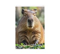 Capybara con gli occhi chiusi Bandiera da giardino di benvenuto 0,6 x 0,9 m nessuna dissolvenza doppia faccia bandiere da cortile per esterni banner decorazione per cortile portico prato