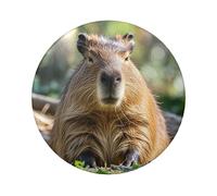 Capybara con occhi chiusi, 12 pezzi, 6,1 cm, rotondi, in metallo, con foto personalizzate, kit per artigianato, progetti fai da te per feste di Natale