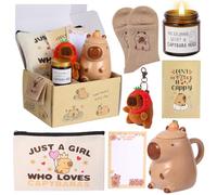 Capybara Regali per le donne Capibara Stuff con tazza tazza borsa per il trucco calzino candela portachiavi blocco note e carte regalo regalo per gli amanti della Capybara