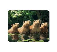 Capybara - Tappetino scolapiatti per bancone della cucina, in gomma morbida assorbente ispirata alla natura, design ecologico per tutte le stagioni, 45,7 x 61 cm