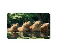 Capybara - Tappetino scolapiatti per bancone della cucina, in gomma morbida assorbente ispirata alla natura, design ecologico per tutte le stagioni, 30,5 x 50,8 cm
