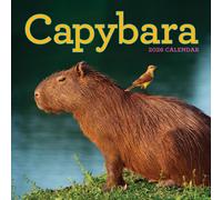 Capybara Wall Calendar 2026