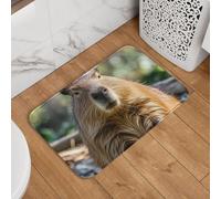 Capybara - Zerbino con occhi chiusi, antiscivolo, assorbente, morbido, lavabile, moderno, per cucina, camera da letto, bagno, decorazione 40,6 x 61 cm