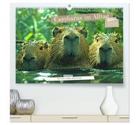 Capybaras im Alltag - Ein Jahr voller Abenteuer (hochwertiger Premium Wandkalender 2026 DIN A2 quer), Kunstdruck in Hochglanz: Erlebe die charmanten ... ein neues, herzerwärmendes Abenteuer zeigen.