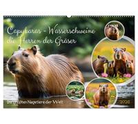 Capybaras - Wasserschweine die Herren der Gräser (Wandkalender 2026 DIN A2 quer), CALVENDO Monatskalender: Die größten Nagetiere der Welt