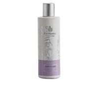 Car Fiori Di Capri Body Lotion