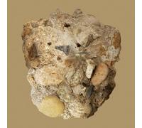 Car The Garden - Absence