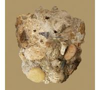 Car The Garden - Absence