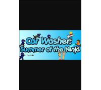 Car Washer: Summer of the Ninja (PC) Steam Key GLOBAL