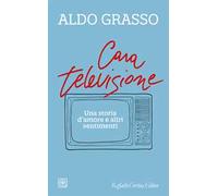 Cara televisione. Una storia d’amore e altri sentimenti
