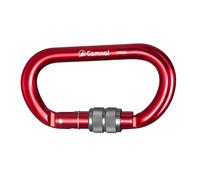 Carabina di tipo D con fibbia di sicurezza, in alluminio, capacità 25KN