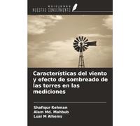 Características del viento y efecto de sombreado de las torres en las mediciones