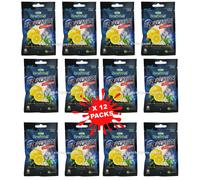Caramella di sale naturale dell'Himalaya Sapore di limone Vitamina C Menta...