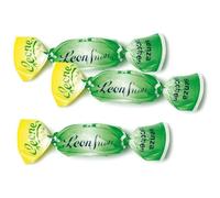 Caramelle Dure Pastiglie Leone Leonsnella Menta Busta da 500 g Senza Glutine