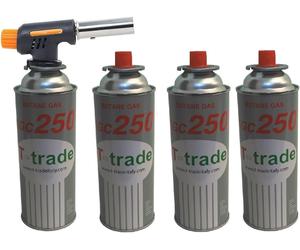Caramellizatore Saldatore a Cannello Accendifuoco Bruciatore Con Accensione Elet