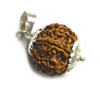 CaratYogi Real 5 Mukhi Five Face Rudraksha Pendant Round Rudraksh Sterling Silver Locket Chakra Healing