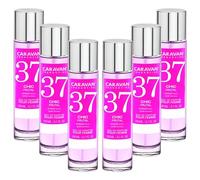 Caravan - Set di 6 profumi da donna n. 37 da 150 ml