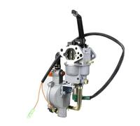 Carb Carburatore Per 168F 188F Per GPL Per NG Carburatore Doppio Carburante Starter Automatico O Manuale Kit Di Conversione Generatore A Benzina Ibrido 5Kw Carburatori(188F LPG)
