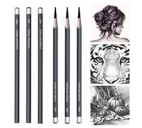 Carboncino Matita, Carboncino da Disegno, Carboncino Cartoleria, Matite Carbone, Carboncini per Schizzi, Carboncino Nero, Matite per Schizzi, Matite da Disegno, Penne D'artista, 3 Durezze, 6 Pezzi