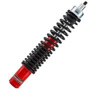 Carbone Ammortizzatore Anteriore 60220032 Vespa 200 Racing