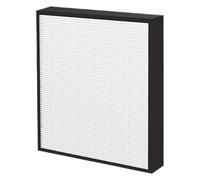 Carbone Attivo HEPA 2 In 1, Compatible With Sharp, For FP-F30U FP-F30UH